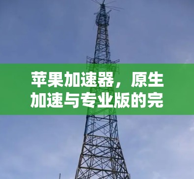 苹果加速器，原生加速与专业版的完美结合