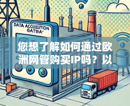 您想了解如何通过欧洲网管购买IP吗？以下是详细的步骤和信息