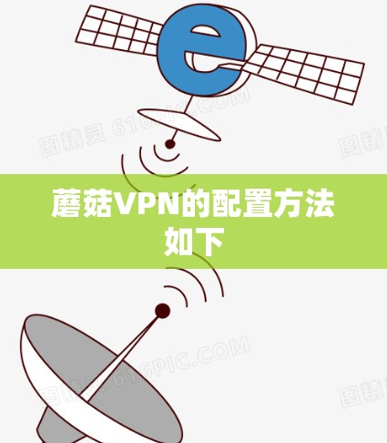 蘑菇VPN的配置方法如下