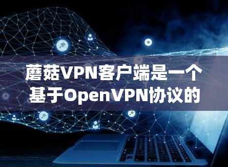 蘑菇VPN客户端是一个基于OpenVPN协议的VPN应用，旨在提供 secure 的网络连接。以下是一些基本的教程，帮助您学习如何使用蘑菇VPN客户端