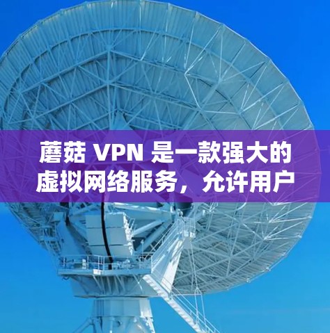 蘑菇 VPN 是一款强大的虚拟网络服务，允许用户在外部连接到强大的VPN，提供多种功能，包括访问服务器、文件、邮件等。以下是使用蘑菇 VPN 的步骤说明