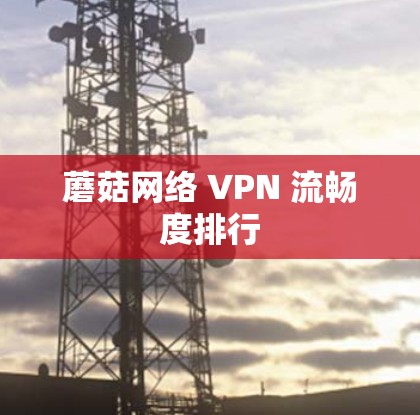 蘑菇网络 VPN 流畅度排行