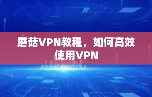 蘑菇VPN教程，如何高效使用VPN