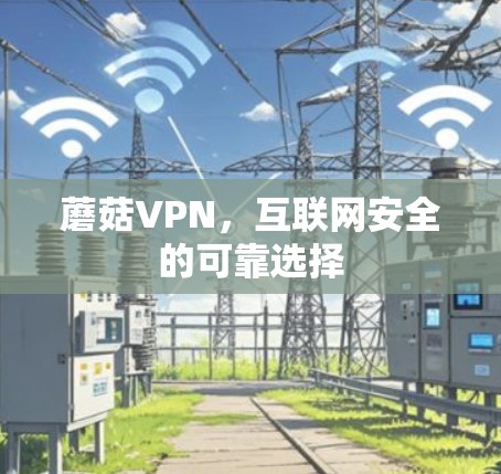 蘑菇VPN，互联网安全的可靠选择
