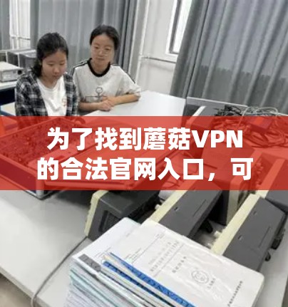 为了找到蘑菇VPN的合法官网入口，可以按照以下步骤进行