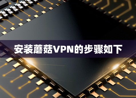 安装蘑菇VPN的步骤如下