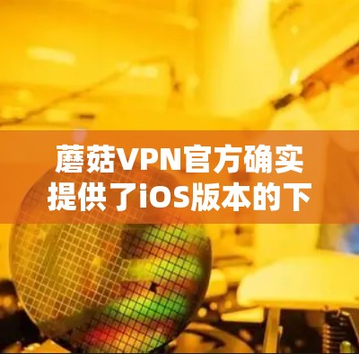 蘑菇VPN官方确实提供了iOS版本的下载，可以在官方网站或官方渠道找到下载链接。以下是获取iOS版本的具体步骤