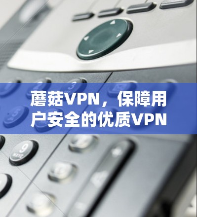 蘑菇VPN，保障用户安全的优质VPN选择