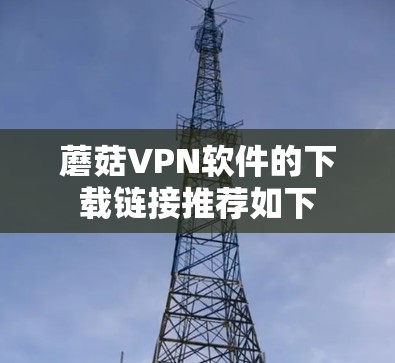 蘑菇VPN软件的下载链接推荐如下