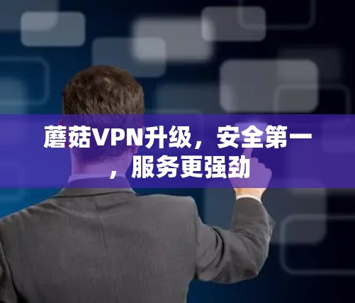 蘑菇VPN升级，安全第一，服务更强劲