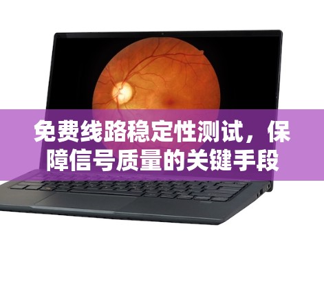 免费线路稳定性测试，保障信号质量的关键手段
