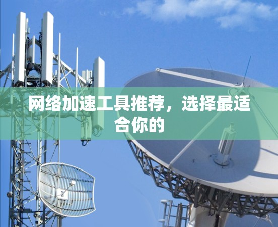 网络加速工具推荐，选择最适合你的