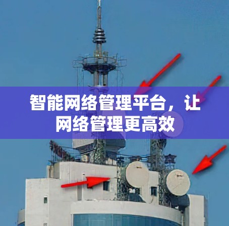 智能网络管理平台，让网络管理更高效