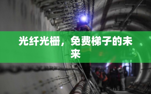 光纤光栅，免费梯子的未来
