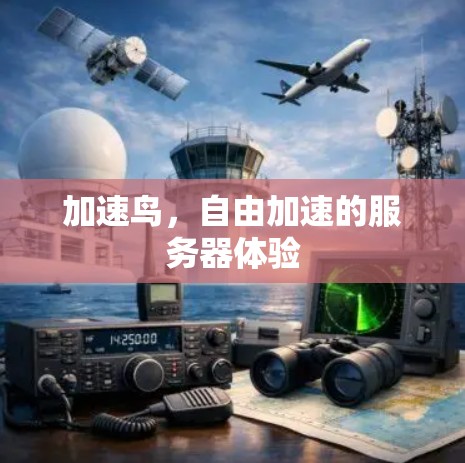 加速鸟，自由加速的服务器体验