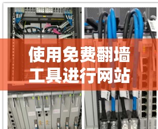 使用免费翻墙工具进行网站翻墙时，以下是一步步的指南