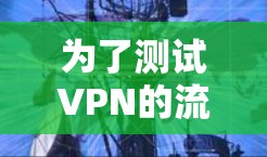 为了测试VPN的流量,可以按照以下步骤进行 为了测试VPN的流量,可以按照以下步骤进行