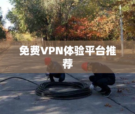 免费VPN体验平台推荐