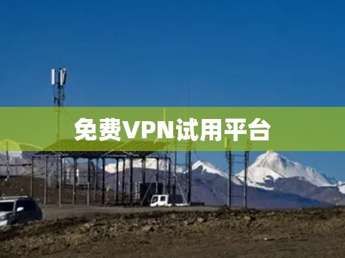 免费VPN试用平台