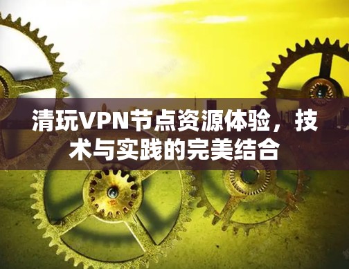 清玩VPN节点资源体验，技术与实践的完美结合