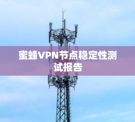 蜜蜂VPN节点稳定性测试报告 蜜蜂VPN节点稳定性测试报告