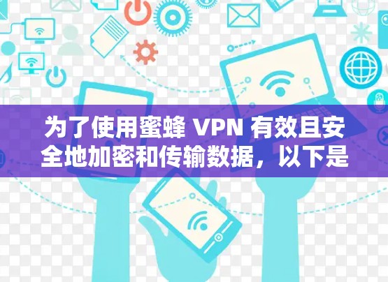 为了使用蜜蜂 VPN 有效且安全地加密和传输数据，以下是一步步的建议