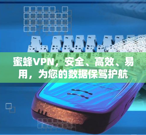 蜜蜂VPN，安全、高效、易用，为您的数据保驾护航