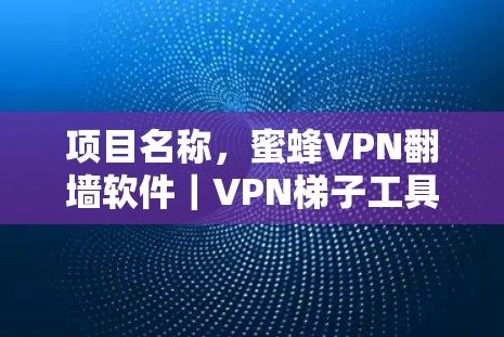 项目名称，蜜蜂VPN翻墙软件｜VPN梯子工具