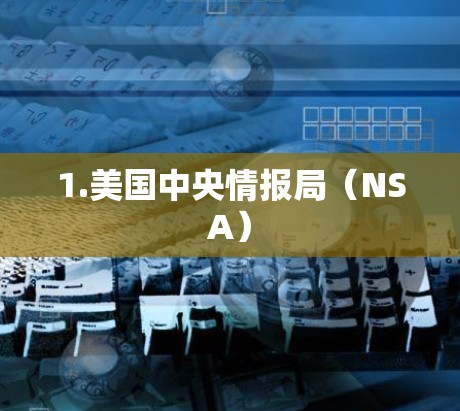 1.美国中央情报局（NSA）