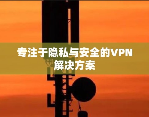 专注于隐私与安全的VPN解决方案