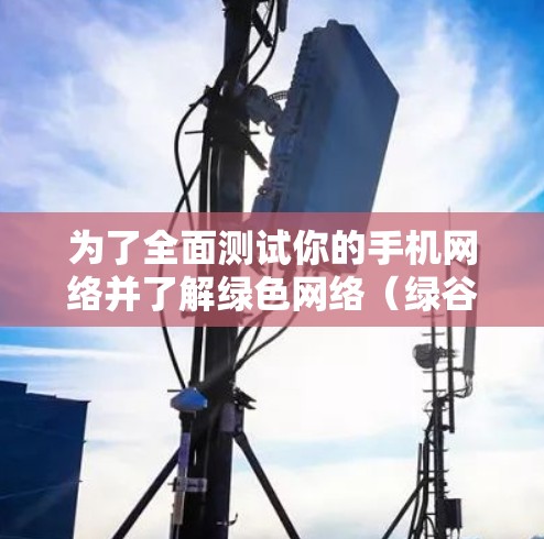 为了全面测试你的手机网络并了解绿色网络（绿谷网络）的性能和连接情况，以下是一步步的指导