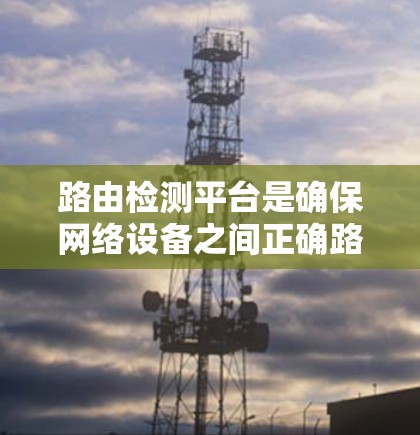 路由检测平台是确保网络设备之间正确路由的工具，通过编写和测试路由规则来防止访问失败或冲突情况。以下是关于如何编写和优化路由检测平台的详细步骤