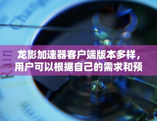 龙影加速器客户端版本多样，用户可以根据自己的需求和预算选择合适的版本。以下是几个常见的版本