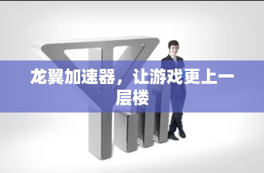 龙翼加速器，让游戏更上一层楼