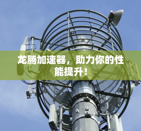 龙腾加速器,助力你的性能提升! 龙腾加速器,助力你的性能提升!