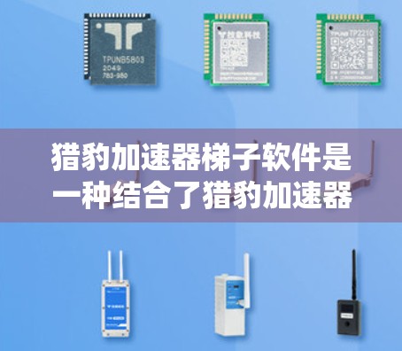 猎豹加速器梯子软件是一种结合了猎豹加速器和梯子软件的工具，用于加速移动设备并适配特定的系统或应用程序。以下是详细的总结