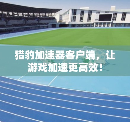 猎豹加速器客户端,让游戏加速更高效! 猎豹加速器客户端,让游戏加速更高效!