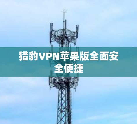 猎豹VPN苹果版全面安全便捷