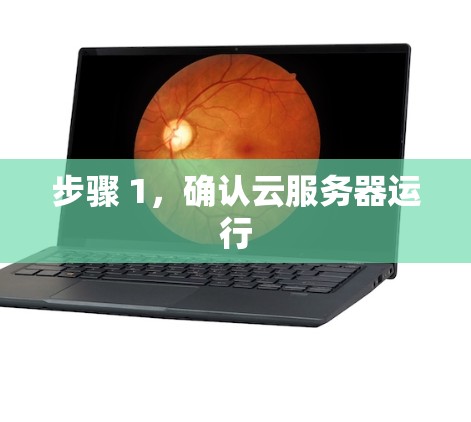步骤 1，确认云服务器运行