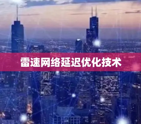 雷速网络延迟优化技术