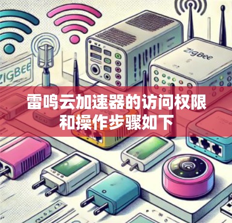 雷鸣云加速器的访问权限和操作步骤如下