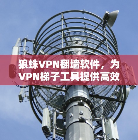 狼蛛VPN翻墙软件，为VPN梯子工具提供高效配置与安全保护