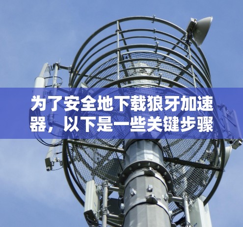 为了安全地下载狼牙加速器，以下是一些关键步骤和建议