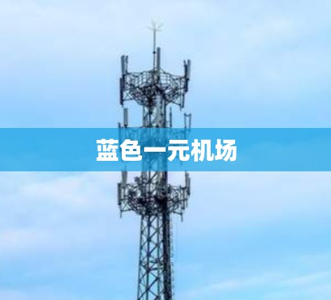 蓝色一元机场