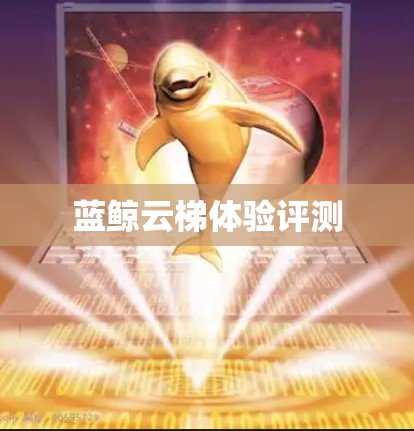 蓝鲸云梯体验评测