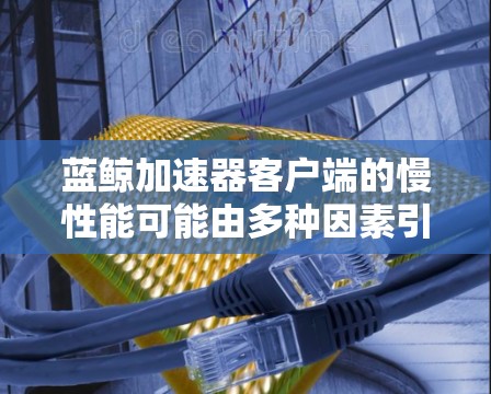 蓝鲸加速器客户端的慢性能可能由多种因素引起，以下是一些可能的原因和解决方法