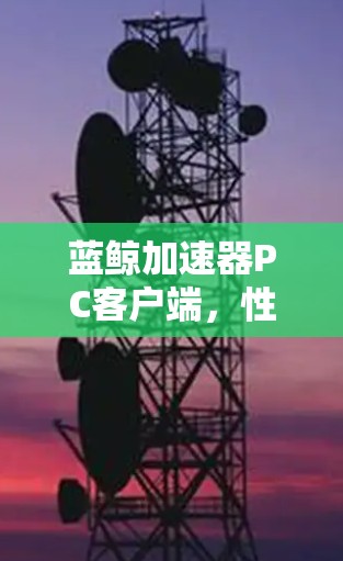 蓝鲸加速器PC客户端，性能优化与用户体验提升