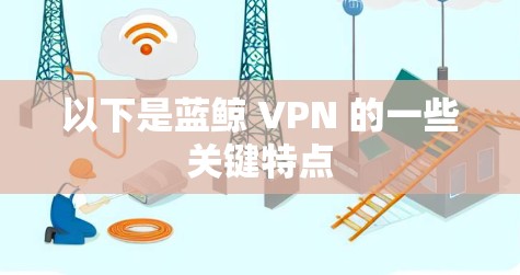 以下是蓝鲸 VPN 的一些关键特点