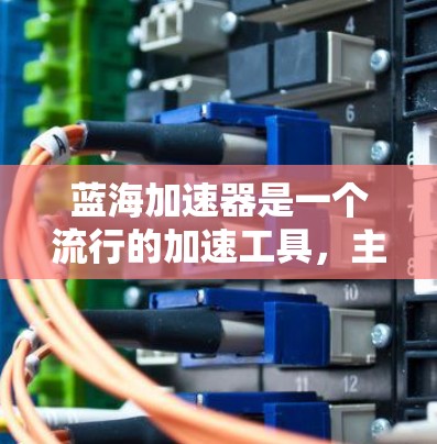 蓝海加速器是一个流行的加速工具，主要针对Web页面的加载速度进行优化。以下是关于蓝海加速器的详细说明