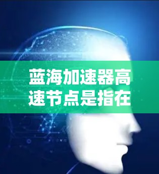 蓝海加速器高速节点是指在现有竞争格局中具有显著市场潜力的市场，通常表现为较高的增长率、较小的市场份额或明显的差异化策略。以下是对蓝海加速器高速节点的详细分析